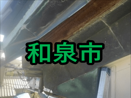 和泉市の雨漏り修理や屋根修理 愛の現場レポート